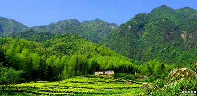 【在夏日】+華中名勝，醉在贛西