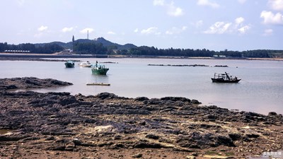 【在夏日】+欽州港小景