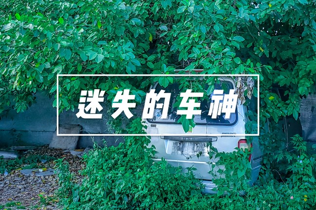 分享幾張大牛原拍及修圖成品