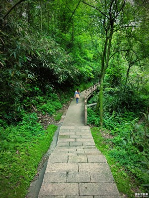 【在夏日】+夏日的涼爽