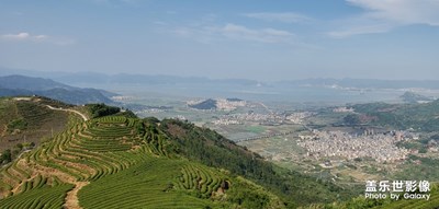 登高·茶場(chǎng)