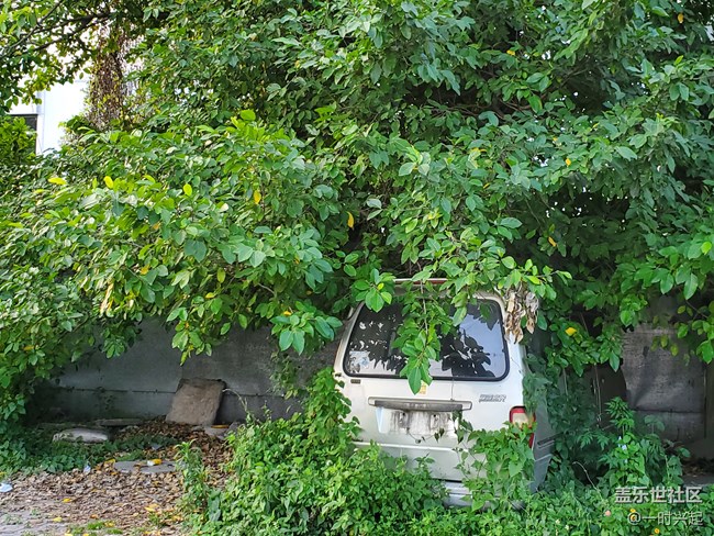 分享幾張大牛原拍及修圖成品