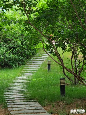 園區(qū)一角亭