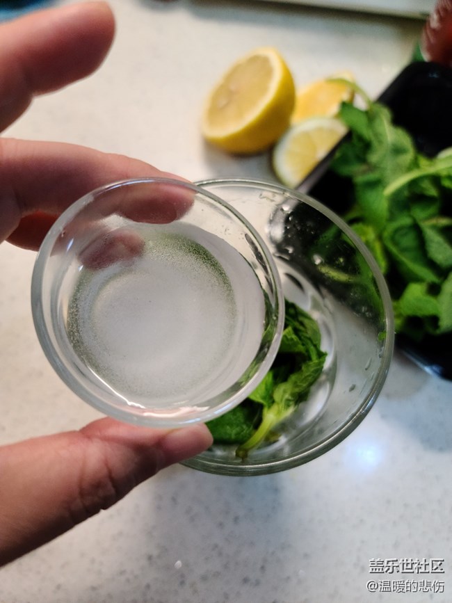 【清涼一夏】經(jīng)典莫吉托Mojito