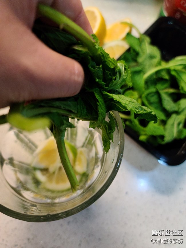 【清涼一夏】經(jīng)典莫吉托Mojito