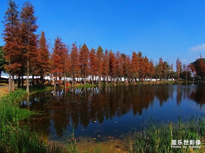 [精彩翻倍]——穿行在山水花卉間