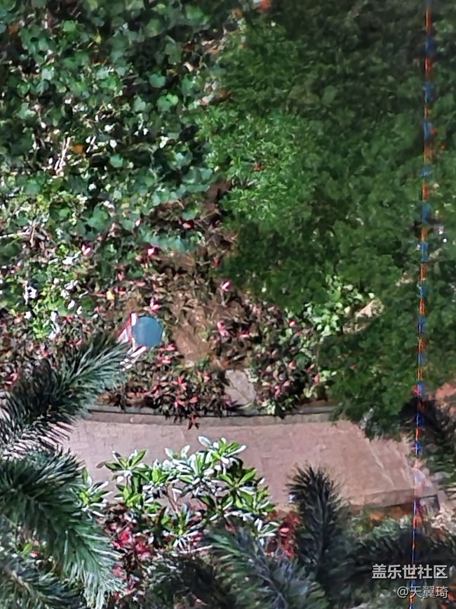 相機(jī)問(wèn)題，緊急求助