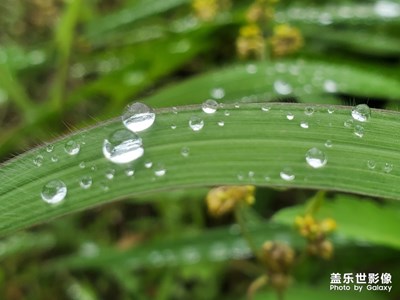 隨拍