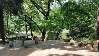 【在夏日】+午間的河邊