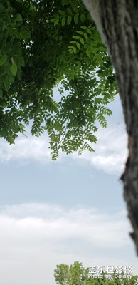 不專(zhuān)業(yè)，業(yè)余拍攝
