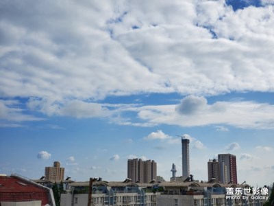 陽臺上的風(fēng)景