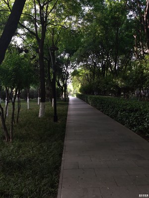 【在夏日】+綠色夏天