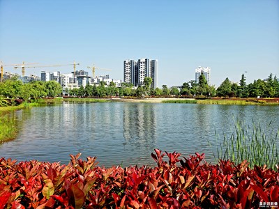 【在夏日】+公園美