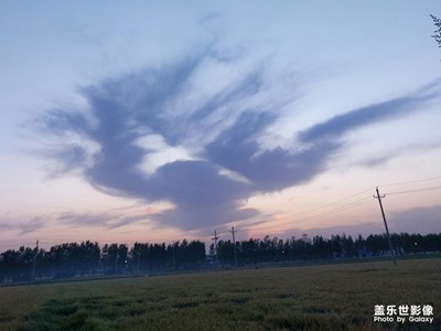 鳳凰