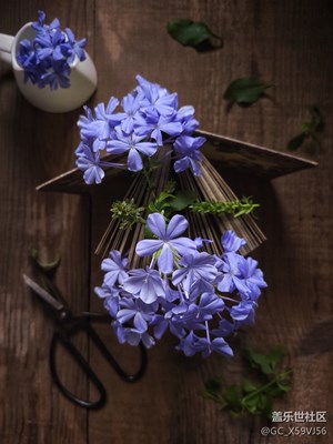 【精彩翻倍】+可鹽可甜的夏天