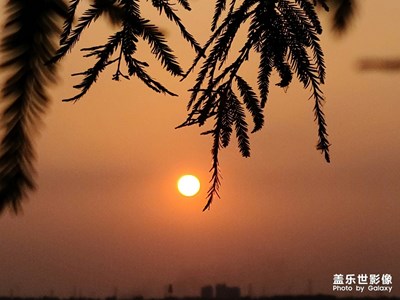 隨手拍