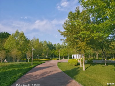 GalaxyS10+  公園小景