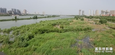 我美麗城