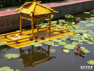 雕塑公園里的野*