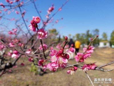 s8+隨手拍，還是可以的