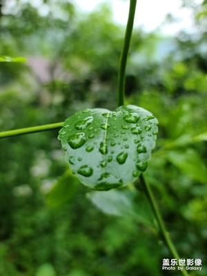 空氣真好