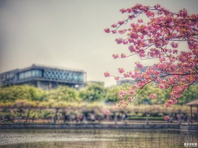 【我美麗城】+打卡嘉定