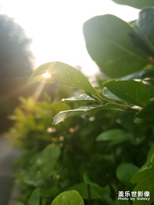 生活