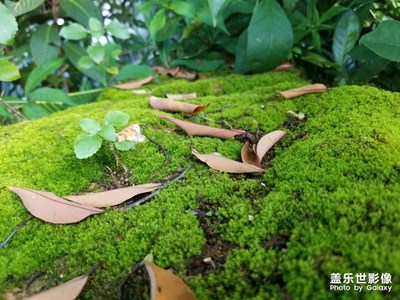無他 小世界