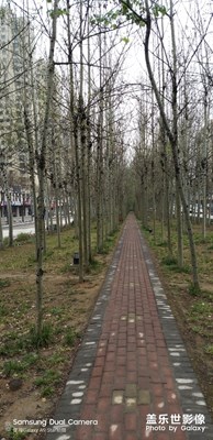 隨拍