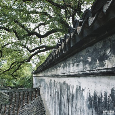 【古鎮(zhèn)情緣】