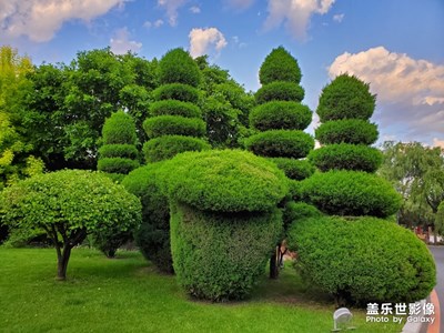 友誼宮