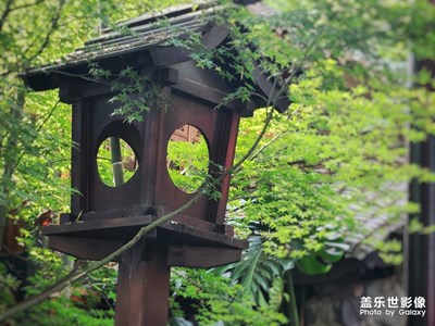 閑庭——安居在鬧市中