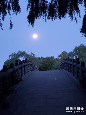 小橋曉月