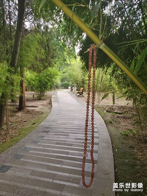 重游植物園！為愛祈福！