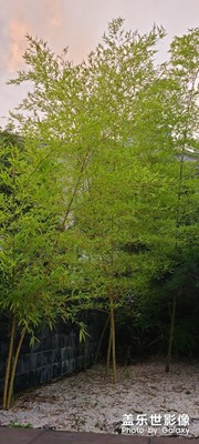 天河潭