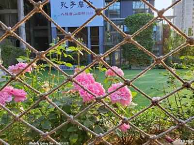 已開獎【蓋樂世影像周賽第144期】——光影生活