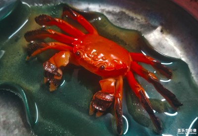 【你好，六一】小擺件