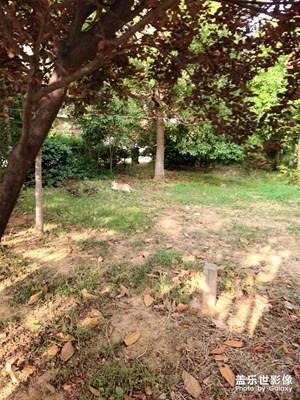 今天早上起床點(diǎn)擊[http://img04.sogouc
