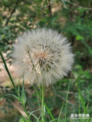 田園一角