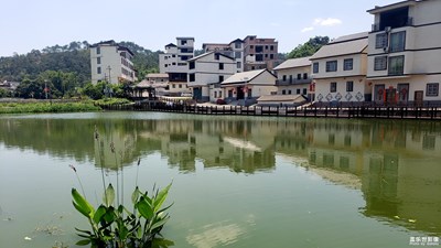 廣西農(nóng)村小景