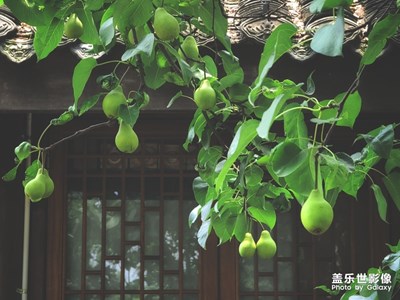 不離不棄