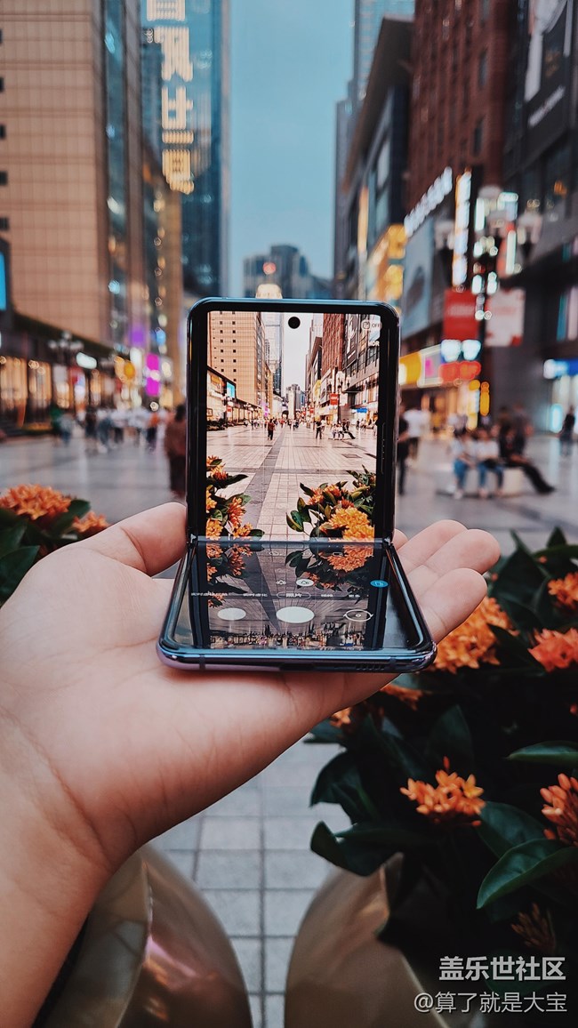 Galaxy Z Flip 相機(jī)篇「這一折.更多美麗以全新視角呈現(xiàn)」