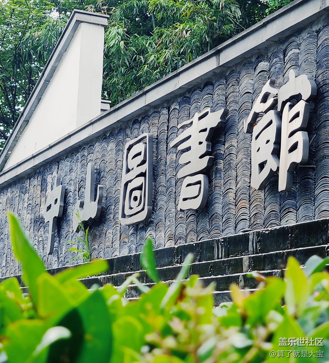 Galaxy Z Flip 相機(jī)篇「這一折.更多美麗以全新視角呈現(xiàn)」