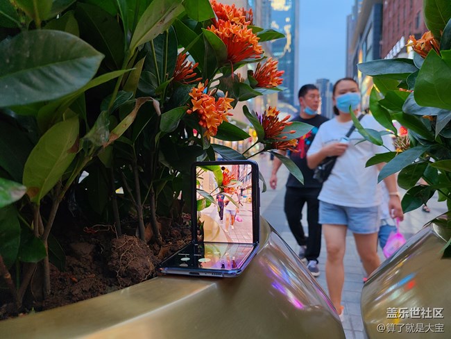 Galaxy Z Flip 相機(jī)篇「這一折.更多美麗以全新視角呈現(xiàn)」