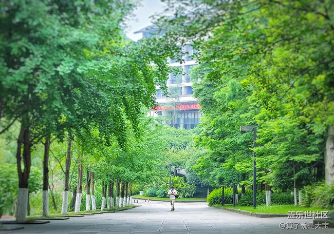 Galaxy Z Flip 相機(jī)篇「這一折.更多美麗以全新視角呈現(xiàn)」