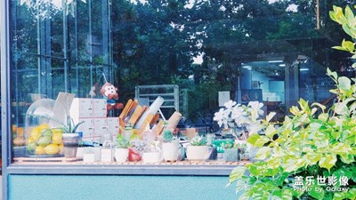 陽光溫柔