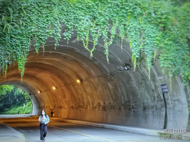 Galaxy Z Flip 相機(jī)篇「這一折.更多美麗以全新視角呈現(xiàn)」