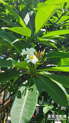 休息