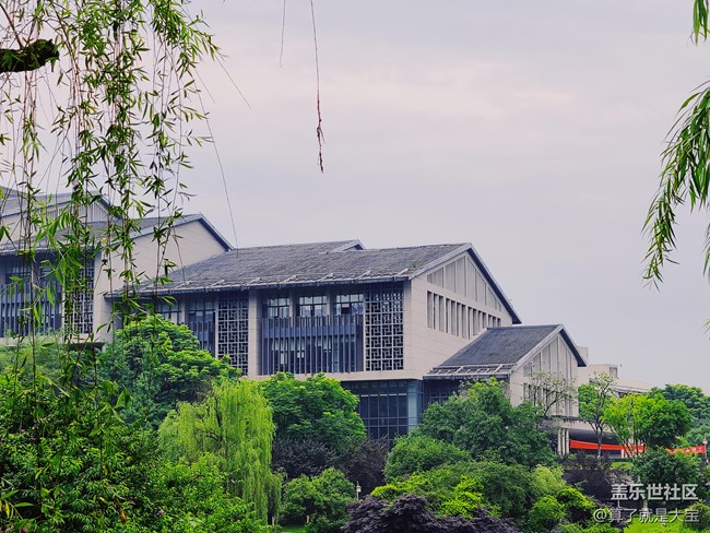 Galaxy Z Flip 相機(jī)篇「這一折.更多美麗以全新視角呈現(xiàn)」