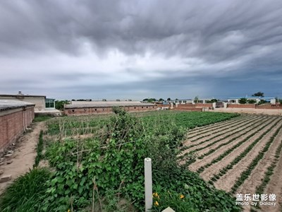 貌似大雨即將到來